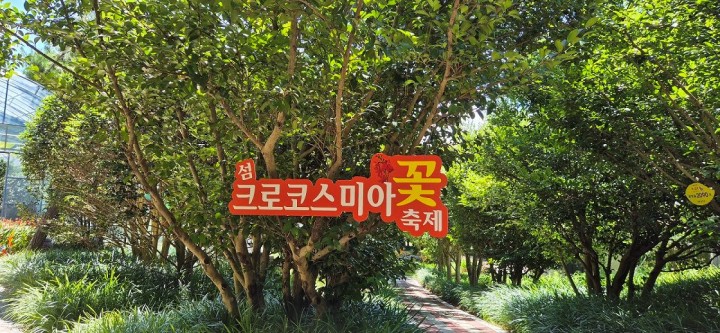 신안군, ‘섬 크로코스미아 꽃 축제’ 막 내려  