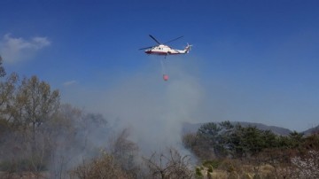 보성소방서, 보성군 벌교읍 임야화재 발생