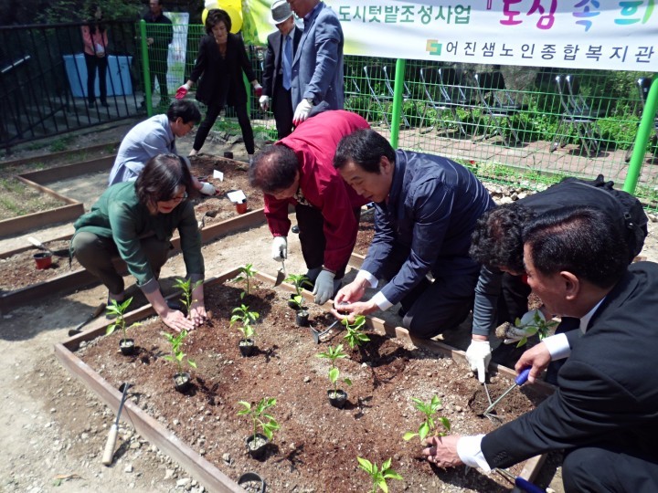 해운대구 ‘경로당 맞춤형 행복텃밭’ 조성