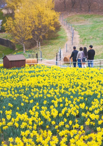 구례군, 직원 힐링 야외 정례조회 개최 