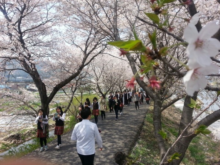 서면서천변 벚꽃길 조성 17주년 기념