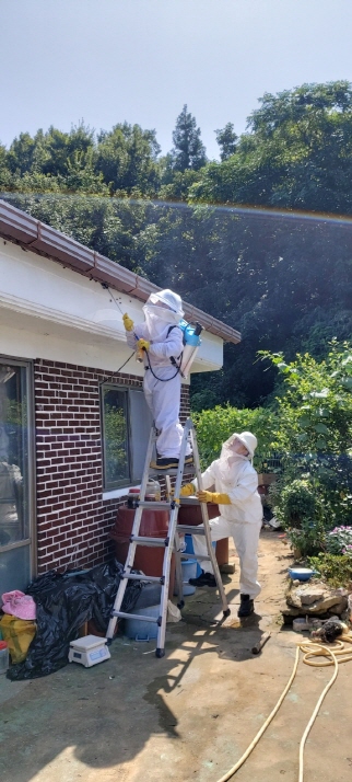  벌 쏘임 사고 ‘경보’ 발령