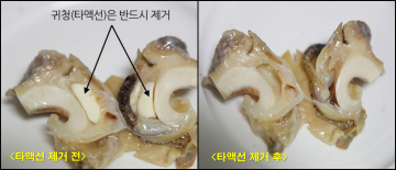 김천시, 권패류 섭취 시 식중독 주의 당부