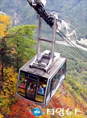 [관광혁신은 요원한가?] 설악산 오색케이블카 결국 백지화...조건부 동의 4명 vs 반대 8명