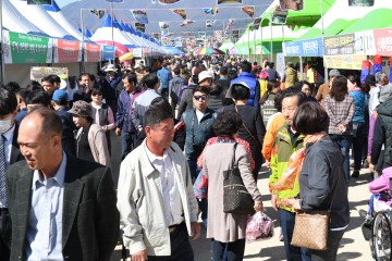 풍기인삼축제10.24~26 3일간 인삼‧홍삼 최대 20% 할인 행사