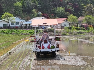 대전 유성구 학하동에서 올해 첫 모내기