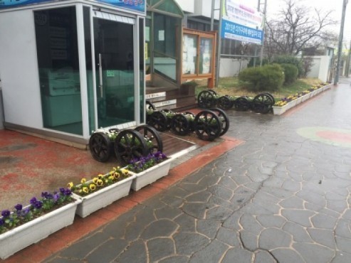 군산시 조촌동, 새봄 맞이 봄꽃 식재  