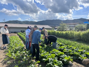 보성군, ‘전남에서 살아보기’ 사업 본격 추진 