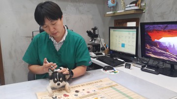 세종시, 광견병 예방접종