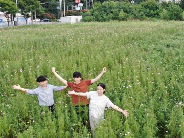 논공삼거리 코스모스단지에 여러분을 초대합니다 