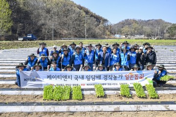 KT&G, 경북지역 산불피해 입은 잎담배 농가에 지원 나선다