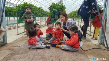충주시 어린이급식관리지원센터,“딸기가 맛있어요”