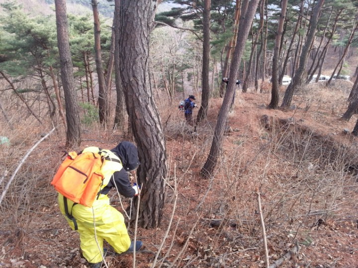 충남도, 소나무재선충병 방제사업에 총력