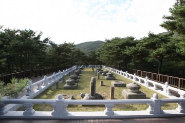 성주군, 문화유산의 보고로 거듭난다.