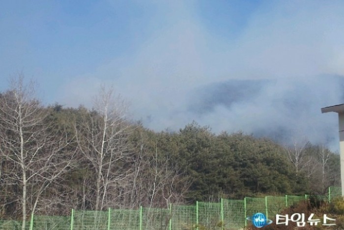 경주시 강동면 안계리 산불 사진.