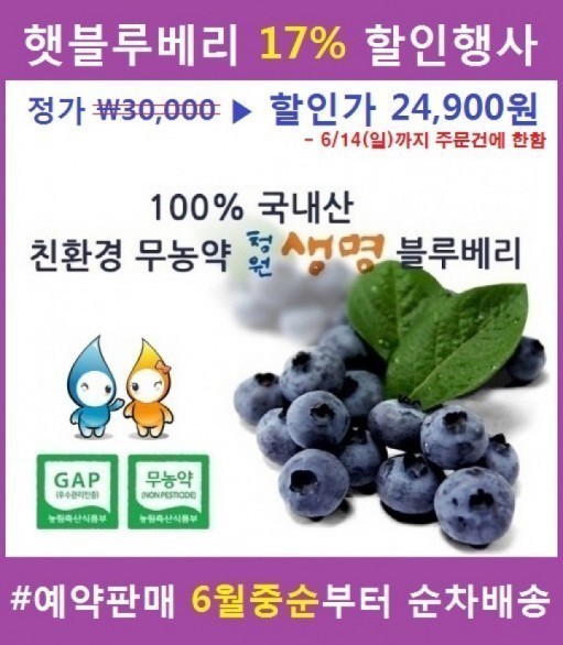 청원생명 블루베리 초특가 예약판매 실시!