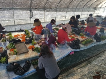 이병환 성주군수,  내년농사도 대박기원! 참외접목농가 현지방문