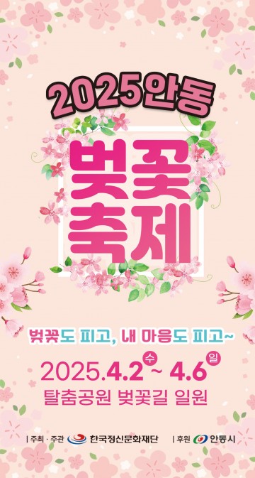 벚꽃도 피고, 내 마음도 피고!...2025 안동 벚꽃축제, 시민 기대 속 막바지 준비