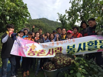 율량사천동 직원과 주민자치위원 농촌봉사활동 실시