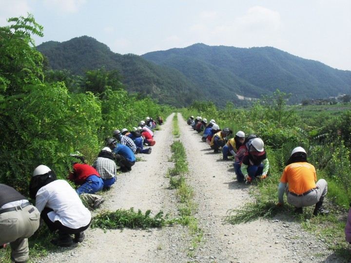 홍천군, 공공산림가꾸기사업 완료