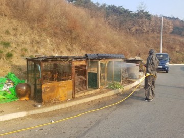 영주시, AI 청정지역 사수 위해 차단방력 강화