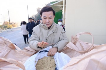 고령군, 2024년산 공공비축미곡 및 시장격리곡 건조벼 수매 시작