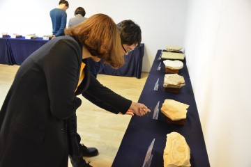 달성군청 참꽃갤러리 지구의 역사 수집화석 특별전 개최