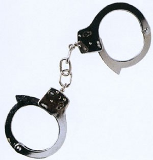 화성동부경찰서 편의점 강도 피의자 검거