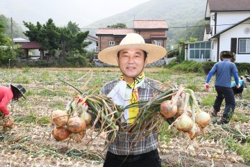 달성군 김문오 군수 및 군청직원, 농촌일손돕기‘구슬땀’