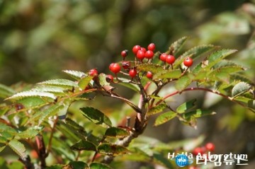 2020년 자활사업 전국 지자체 평가 우수기관 선정된 제주