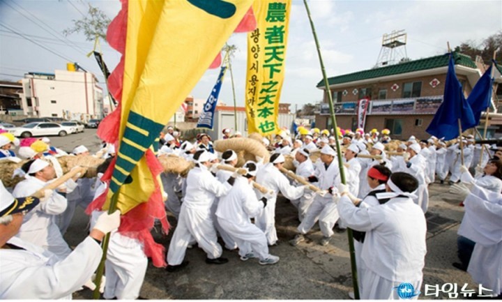 영․호남 화합 한마당 행사  ‘용지큰줄다리기’ 광양매화축제’의 서막