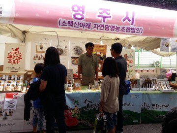 영주 농특산물 제천국제한방엑스포 참가 ‘건강한 매력’ 자랑