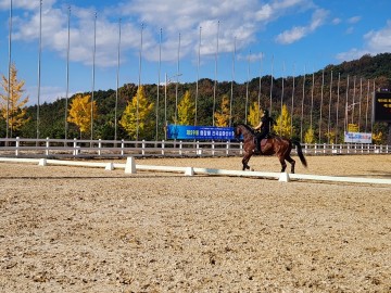 상주시, 제59회 회장배 전국승마선수권대회 개최