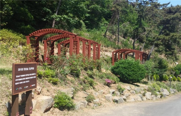 창원시, 관내 창원동백학교에 명상숲 조성