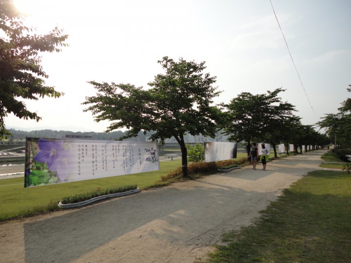 소백산은 온통 꽃물결~ 영주 소백산 철쭉제 개최
