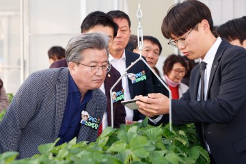 대전 유성구, 청년농 육성 위한 ‘스마트팜’ 조성…딸기 재배 본격화