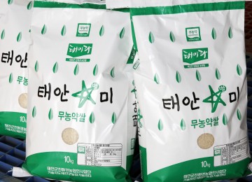  태안군, 기능성 특수미 ‘태안별미’ 첫 선!