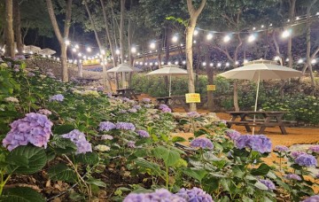 진도군, 웃음꽃 피는 365일 진도 만들기 박차 