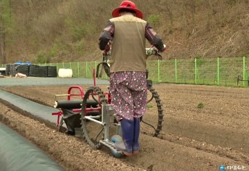 충북농업기술원, ‘보행관리기용 접이식 발판’ 특허 등록… 농촌 고령화 대응 새 해법 제시