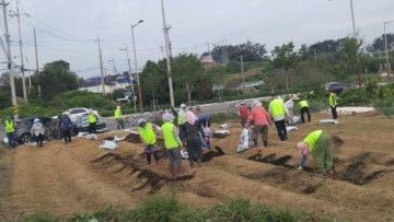 군산시 미성동, ‘사랑의 김치 나눔’ 사전영농준비 ‘착착’