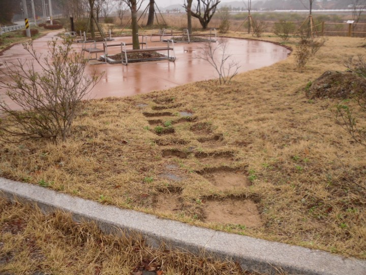 공공시설물 수난시대, 이젠 디딤석까지 절도