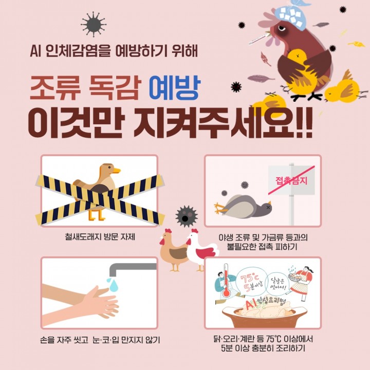 곡성군, 조류독감 확산 막기 위한 예방 조치에 총력  