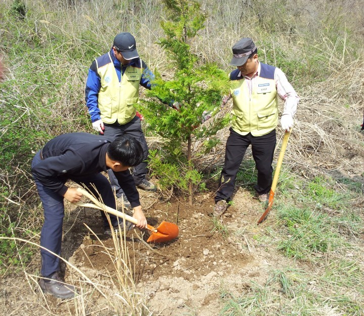 식목일을 앞두고 나무 심기 행사 펼쳐