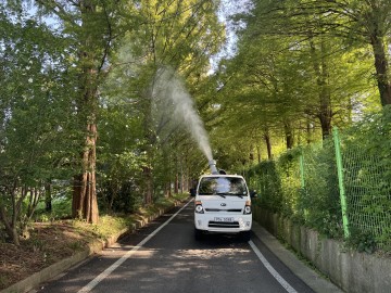 담양군, 메타세쿼이아 가로수 병해충 방제 나서