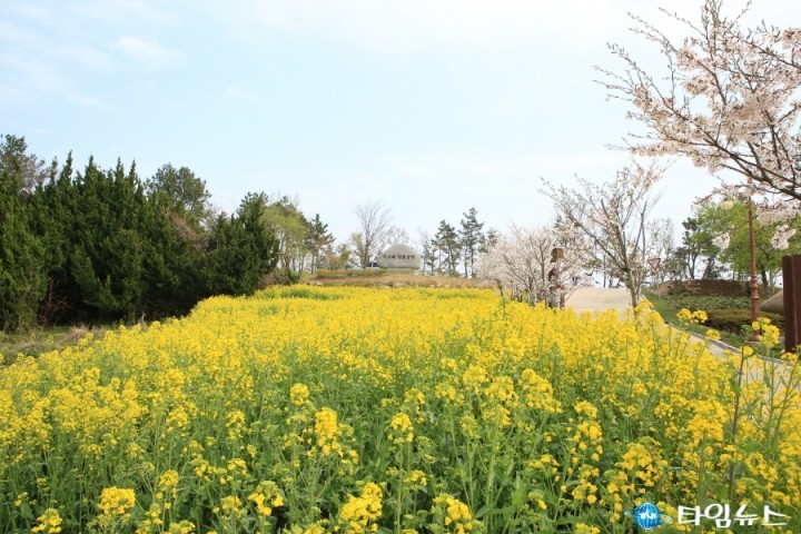 완도군, 봄의 메시지 전달 채비를 마치다