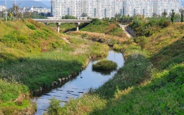 환경부 생태하천‘전국 우수 하천’선정 된 칠곡군 동정천