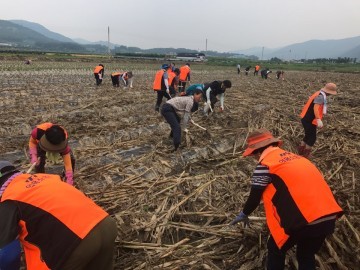단양 의용소방대 괴산지역 수해지역 피해복구 지원
