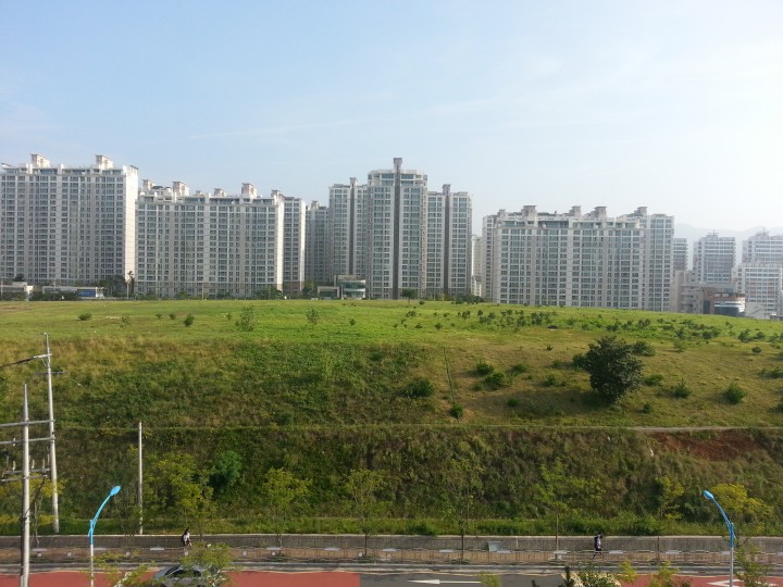 부지정비 및 산책로 등 1단계 사업 추진