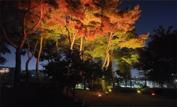  천안축구센터 안전한 산책로위한 야간조명 개선