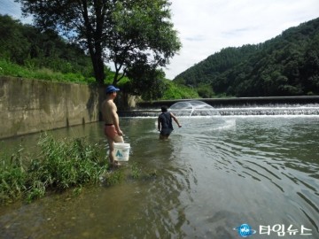 충주시, 산란기 붕어를 살려줘 